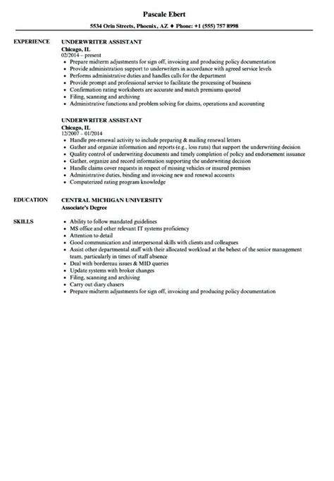 Insurance underwriters decide whether to provide insurance, and under what terms. Insurance Underwriter Job Description For Resume