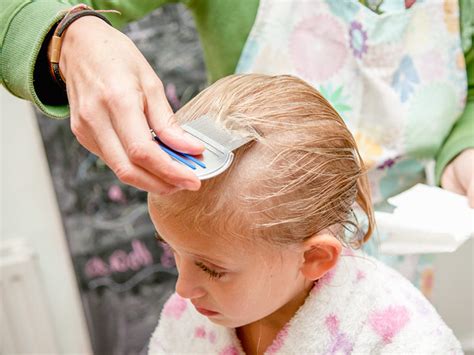 Head Lice Treatment Benefits And Consequences Power Plus