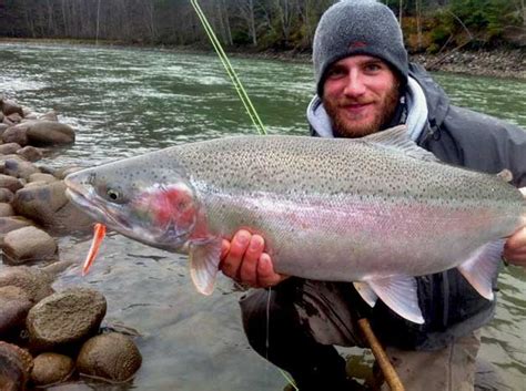 Skeena BC Fishing Report | Fishing with Rod