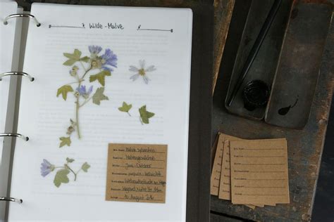 Publikationen über das herbarium nein  x  ja  , wenn ja, welche Herbaium-Vorlagen - Etiketten in 2020 | Herbarium vorlage ...