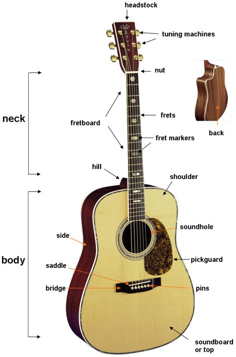 The Parts Of The Guitar
