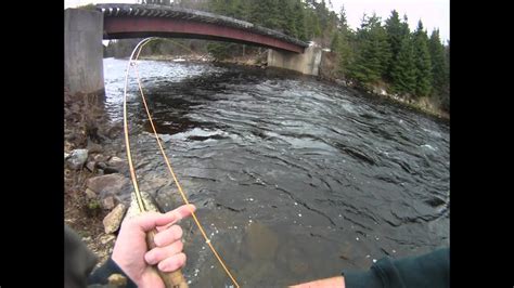 Maine Brook Trout Youtube