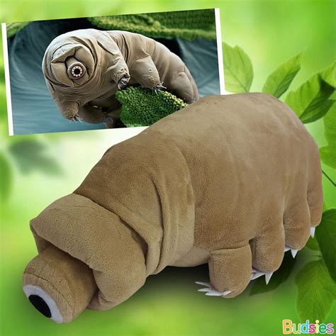 You can even make the perfect stuffed animal gift by adding a personalized record your voice message or custom embroidery on the personalized smiley monkey and more. Create a Tardigrade Stuffed Animal | Budsies Blog