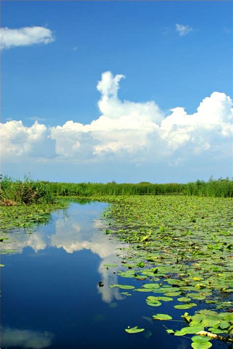 Two cleanings a year free. Danube Delta Romania | Into the Wild - The Adventures of ...
