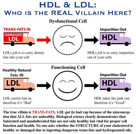 What is cholesterol ratio and what should yours be? 43 best images about LDL Cholesterol on Pinterest | Heart ...