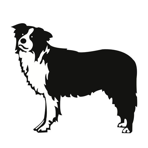 Border Collie Silhouette Svg Free 278 Svg Png Eps Dxf File
