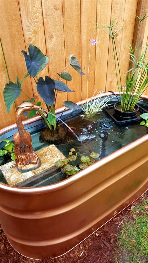 Maybe you would like to learn more about one of these? Stock tank koi pond | Small water gardens, Ponds backyard, Indoor water garden