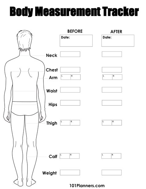 Free Body Measurement Chart Printable Or Online