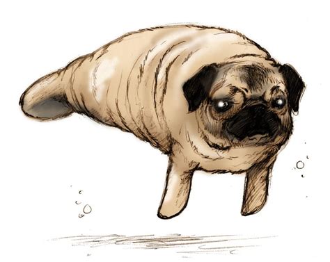 Check spelling or type a new query. I love my fat pug | Funny | Pinterest | Posts, Strudel and I love