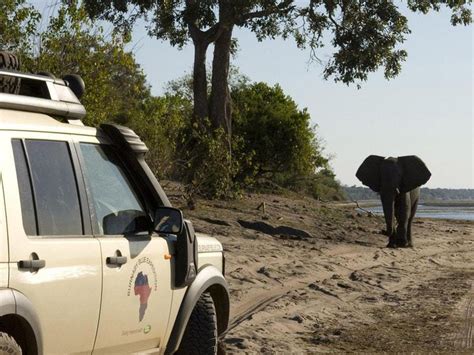 Campaigners Condemn Botswana Move To Lift Ban On Elephant Hunting