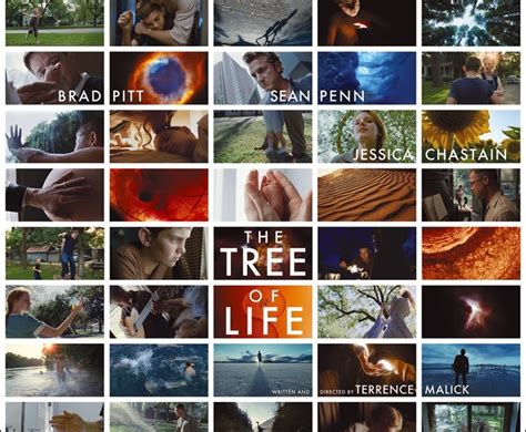 The Night Editor The Tree Of Life 2011