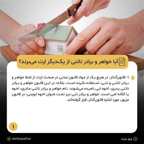 شرایط ارث بردن خواهر و برادر ناتنی از یکدیگر چیست؟