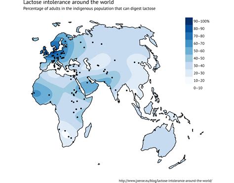 Lactose Intolerance Around The World Joe Roe