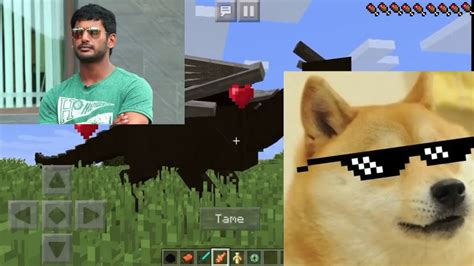 *get a dragon's egg *egg take hatch *tame it *mounts how to use: HOW TO TAME AND RIDE THE ENDER DRAGON MINECRAFT - YouTube