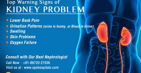 Kidney Pain Vs Back Pain Location Kidausx