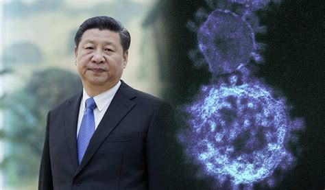 La Crisis Del Coronavirus Podría Dañar El Futuro Político De Xi Jinping