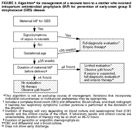 Prevention Of Perinatal Group B Streptococcal Disease A Public Health Perspective