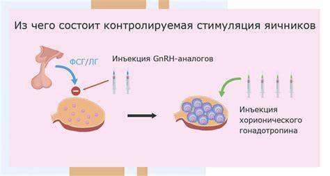 Диеты при гормональной терапии