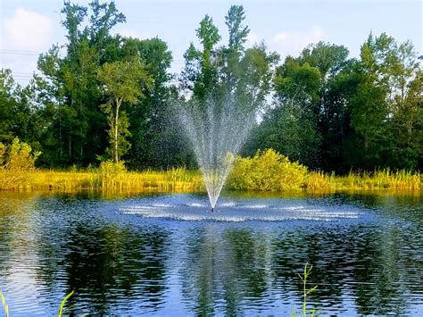 Pond Fountains Floating Fountains Discount Pumps