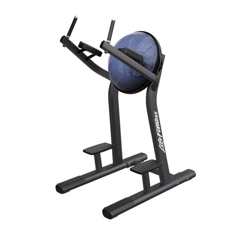 Life Fitness Signature Series Back Extension 45 Degree Hyper Extension