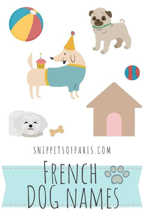 171 French Dog Names Puppy Names With Meanings Snippets Of Paris