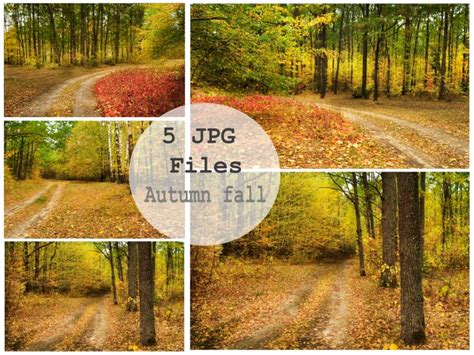 Download the free trial version and try it out on your favorite image web site or forum. Plottervorlagen - Stock photo: Stock photo Herbst Set 5 ...