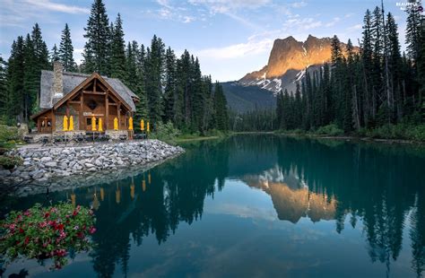 Emerald Lake Trees Canada Viewes Province Of British Columbia