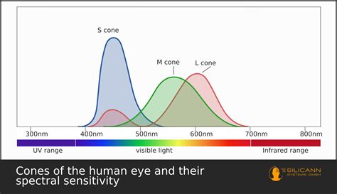 Metamerism The Color Phenomenon Explained