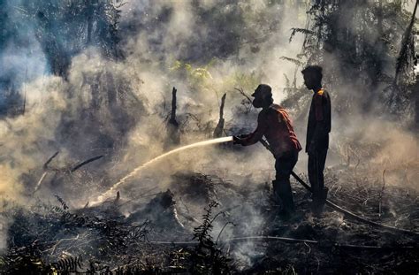 There have also been cases of open burning in neighbouring malaysia, though it pales in comparison to indonesia. Malaysia calls on Asean to fight haze | The Star Online