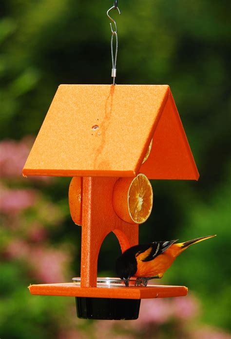 Easy 10 Diy Oriole Bird Feeder Ideas For Your Garden Oriole Bird