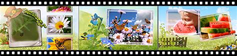 A Touch Of Sun Summer Slideshow Styles For Smartshow 3d
