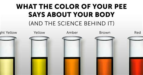 What The Color Of Your Pee Says About Your Body And The Science Behind It