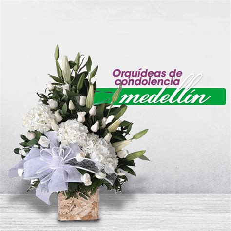 Orquídeas De Condolencia Medellín Floristería Jardín Kennedy