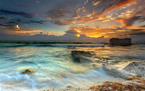 Free Photo Beautiful Seascape Wildlife Sea White Free Download