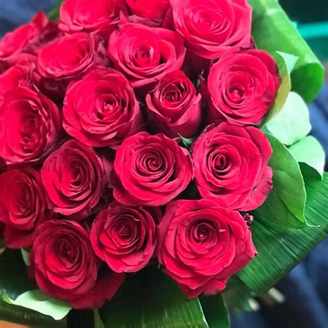 Love 20 Red Roses Fresh Flower Bouquet Beautiful Romantic Roses Hand
