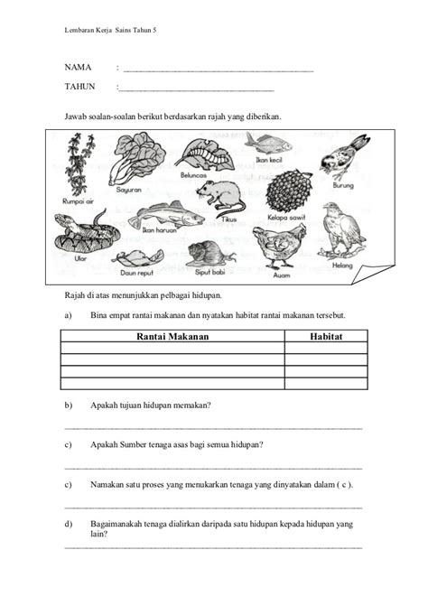 Latihan Sains Tahun 6 Mikroorganisma Prasekolah Sk Pesang Begu