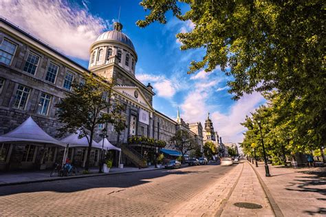 The 17 Best Free Things To Do In Montréal Lonely Planet