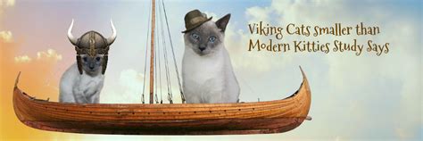 Viking Cats Study Shows Kities Have Grown In Size Over The Last 2000 Years