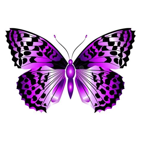 Bright Beautiful Purple Butterfly Vector Illustration Isolated Stock