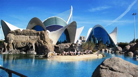 Valencia Wallpapers Top Free Valencia Backgrounds Wallpaperaccess