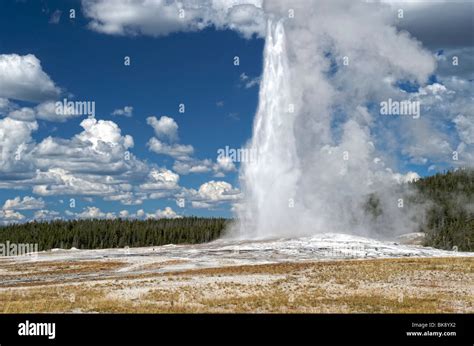eruption of the geyser old faithful in the upper geyser basin yellowstone national park
