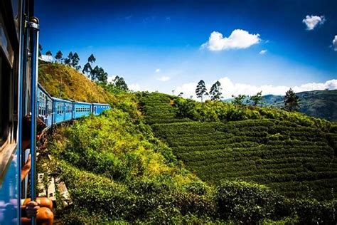 22 Best Places To Visit In Nuwara Eliya In 2023 Highlights And Sightseeing