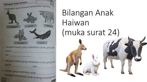 Lagu peraturan bilik sains (buku teks). Buku aktiviti sains tahun 2 haiwan. Perbincangan jawapan ...