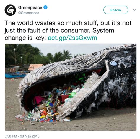 Giant ‘dead Whale Is Haunting Reminder Of Massive Plastic Pollution
