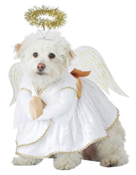 Heavenly Hound Angel Dog Pet Costume Ebay