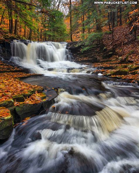 The 12 Best Places To View Fall Foliage At Ohiopyle State Park
