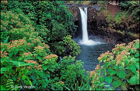 Waterfalls On The Big Island Of Hawaii Wanders And Wonders