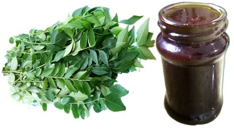 Here are some ways to use curry leaves for hair growth, have a look. Curry Leaves Oil for Hair Growth - YouTube