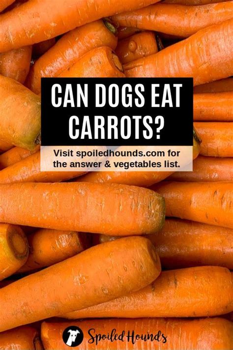They also have smaller bites like pandan chicken, fish cake, moo ping, mango salad, and other appetisers. Vegetables Dogs Can Eat and Vegetables Harmful to Dogs ...