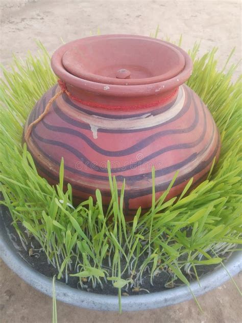 Clay Pot Known As Matka This Use For Cold Water Stock Photo Image Of